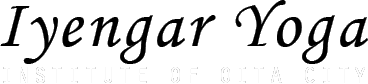 Iyengar Yoga INSTITUTE OF OITA CITY